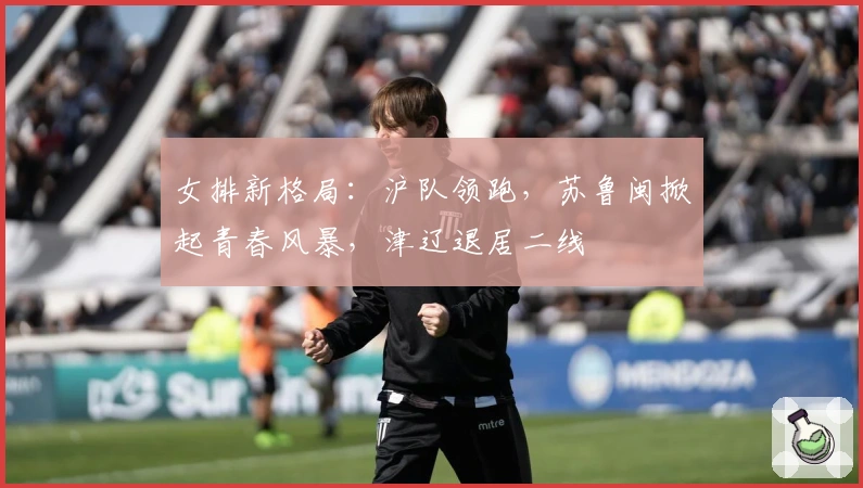 女排新格局：沪队领跑，苏鲁闽掀起青春风暴，津辽退居二线