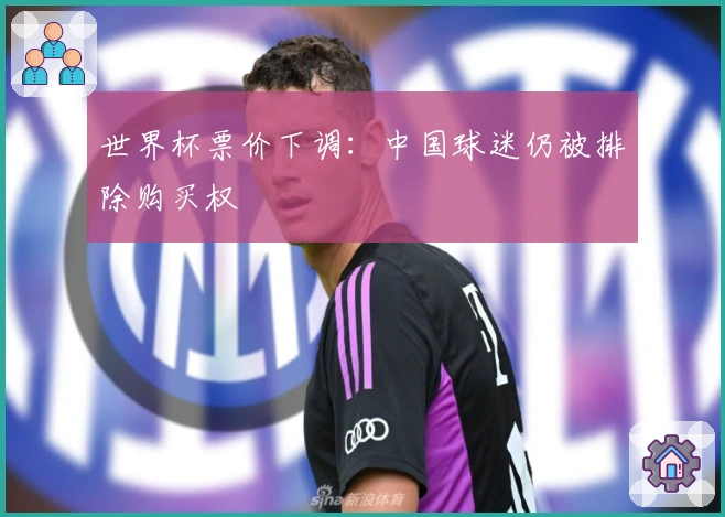 世界杯票价下调：中国球迷仍被排除购买权