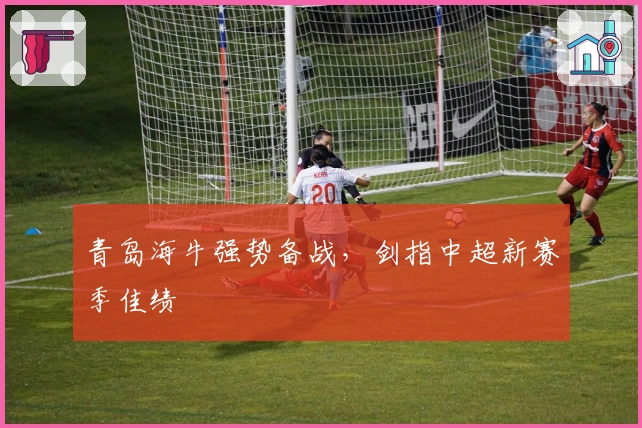 青岛海牛强势备战，剑指中超新赛季佳绩