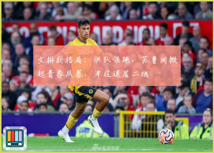 女排新格局：沪队领跑，苏鲁闽掀起青春风暴，津辽退居二线