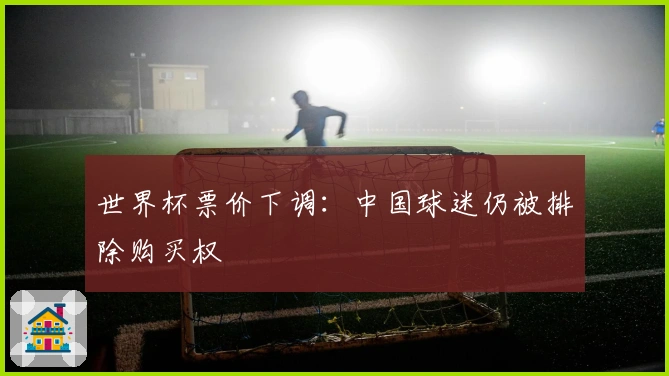 世界杯票价下调：中国球迷仍被排除购买权
