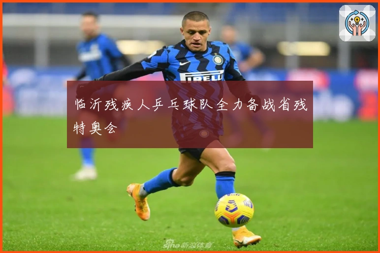 临沂残疾人乒乓球队全力备战省残特奥会